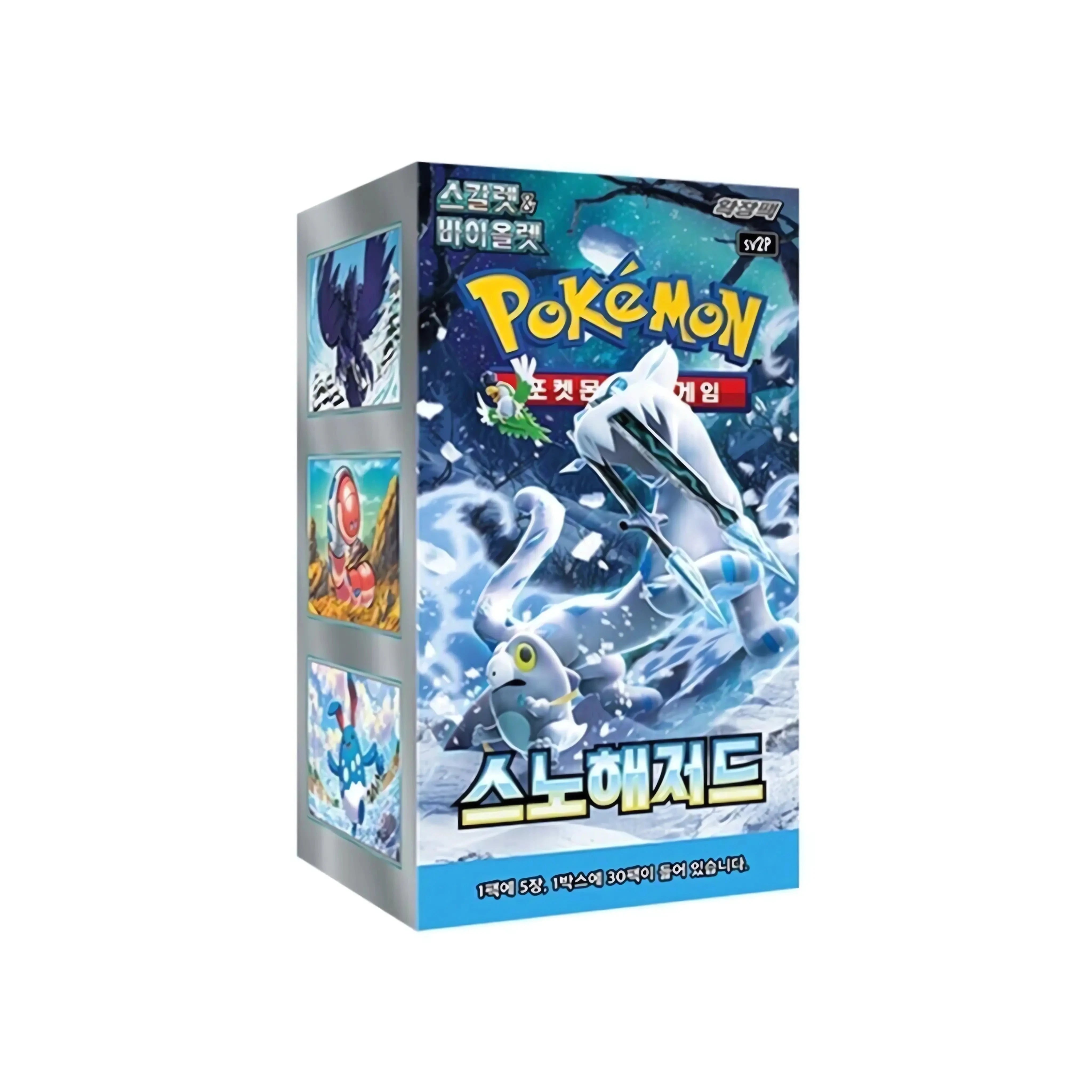 Pokemon Pokemon Sammelkarten - Korea - Snow Hazard